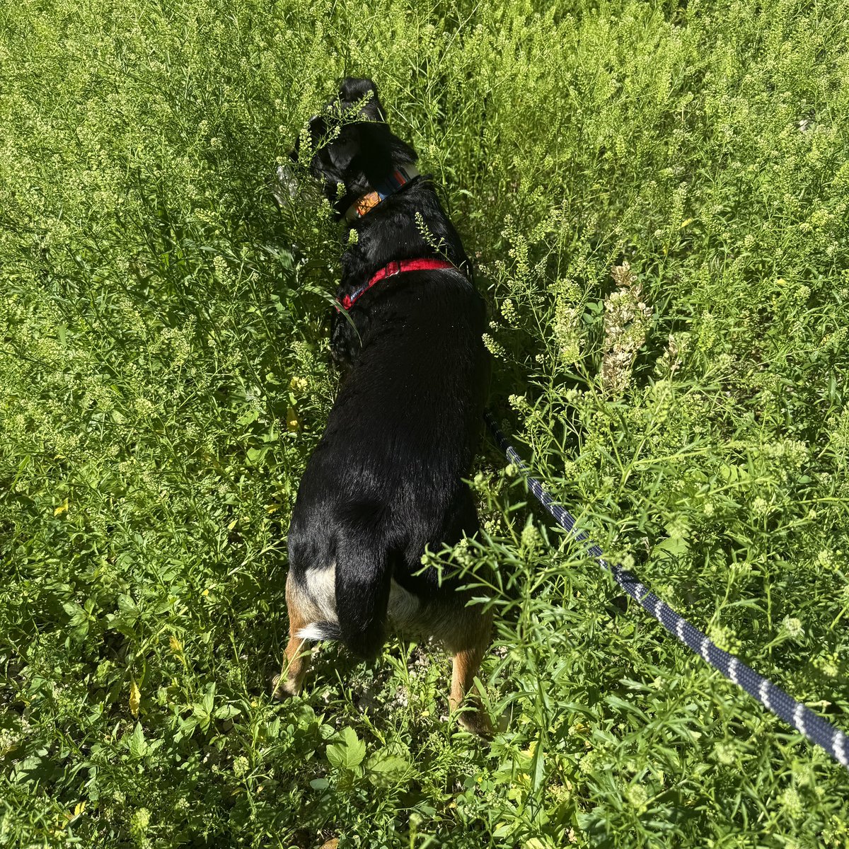 nurture - turbo robinson <a href="/porterrobinson/">porter robinson</a>