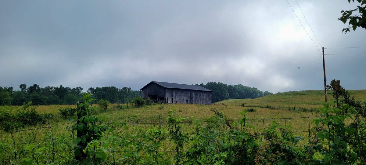 longhunter09's tweet photo. Up on the Cumberland Plateau, where the bluegrass meets the mountains. https://t.co/bTZcwpQ391