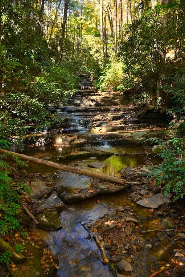 Check out this image on Fine Art America/Pixels. Moccasin Creek State Park Georgia Vertical #LisaWootenPhotography buff.ly/8mWf3Lc