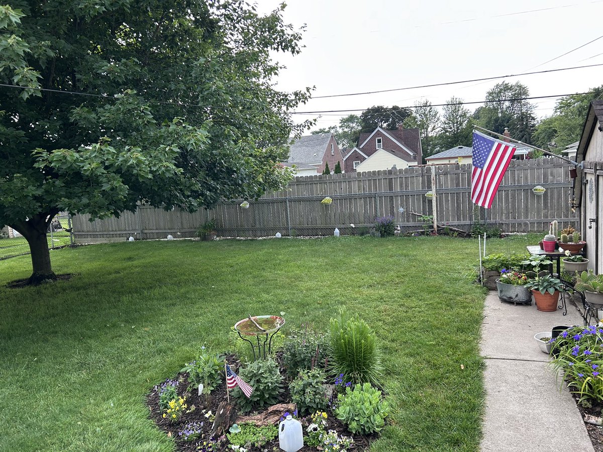 At least the yard is looking green and nice 🥰🌳🙏🏼🧑🏼‍🌾 everything is loving this rain and humidity