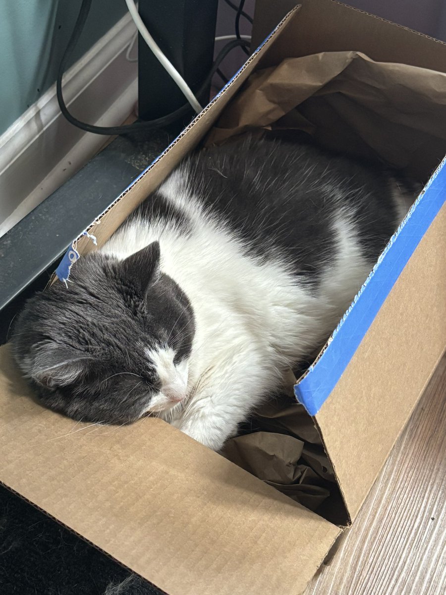 httpspanconcafe's tweet image. 🥹 my azula