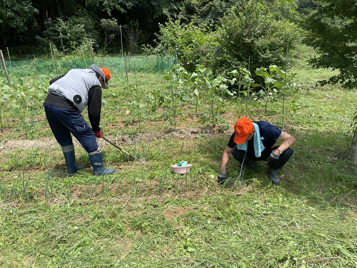 tenjinnosato's tweet photo. 本日の定例活動は以下の通り作業を実施しました。

・園内草刈り
・農園作業
・ノハナショウブ植栽
・トンボの里遊歩道修理

梅雨とは思えな��、照りつける暑さの中での作業でした。
皆さん頑張りましたね！
大変お疲れ様でした。

#ビオトープ天神の里 https://t.co/SRvwQmI9PJ