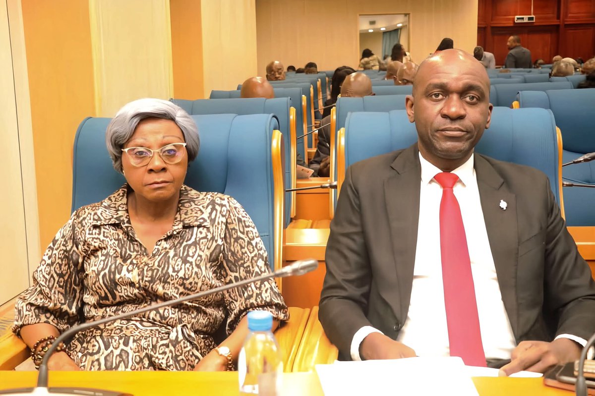 Dans le cadre de l’examen du projet de loi portant création de l’Université des Sciences de l’Éducation (USE), j’ai été auditionné ce vendredi par la Commission des lois, des affaires administratives et des droits de l’homme de l’Assemblée Nationale de la Transition.