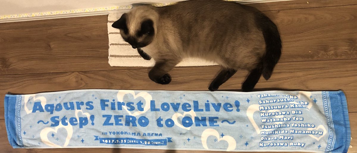 古参です。