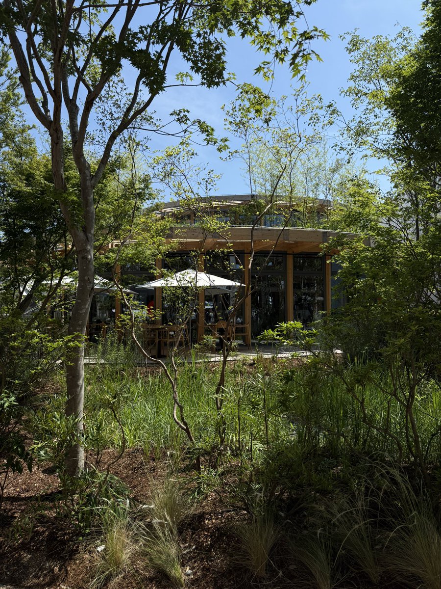 tanny_landscape's tweet photo. ちなみにドイツ館は夏の花が咲き始めてきています。
これからまた違う景色を見せてくれそうで楽しみ。
#大阪・関西万博 https://t.co/K4BwihbTQR