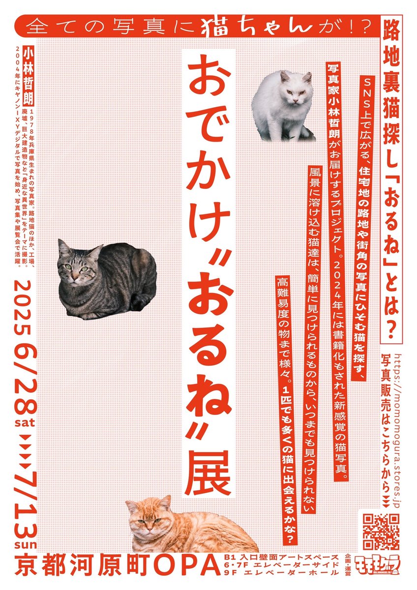 ねこ＊プロフィール必読＊様専用