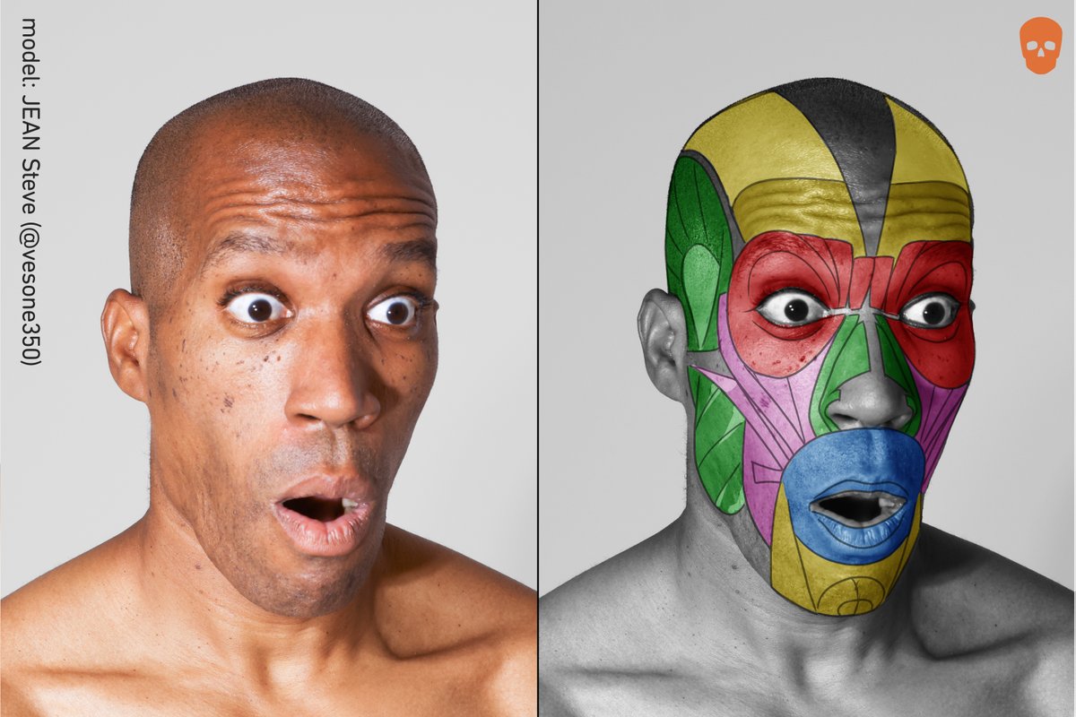 work in progress
Model: JEAN Steve (<a href="/vesone350/">JEAN Steve</a>)