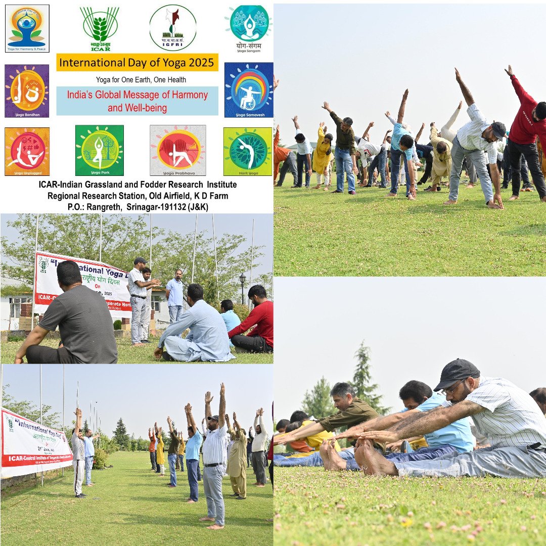 ICAR-IGFRI Srinagar Station (@igfris) on Twitter photo <a href="/IgfriS/">ICAR-IGFRI Srinagar Station</a> joined the celebration of the 11th International Yoga Day organized by ICAR-Central Institute of Temperate Horticulture..
<a href="/AgriGoI/">Agriculture INDIA</a> <a href="/ministryofayush/">Ayush</a>
<a href="/icarindia/">Indian Council of Agricultural Research.</a> <a href="/IcarIgfri/">ICAR - IGFRI, Jhansi</a>
#InternationalYogaDay2025
#YogaForOneEarthOneHealth <a href="/IgfriS/">ICAR-IGFRI Srinagar Station</a> joined the celebration of the 11th International Yoga Day organized by ICAR-Central Institute of Temperate Horticulture..
<a href="/AgriGoI/">Agriculture INDIA</a> <a href="/ministryofayush/">Ayush</a>
<a href="/icarindia/">Indian Council of Agricultural Research.</a> <a href="/IcarIgfri/">ICAR - IGFRI, Jhansi</a>
#InternationalYogaDay2025
#YogaForOneEarthOneHealth