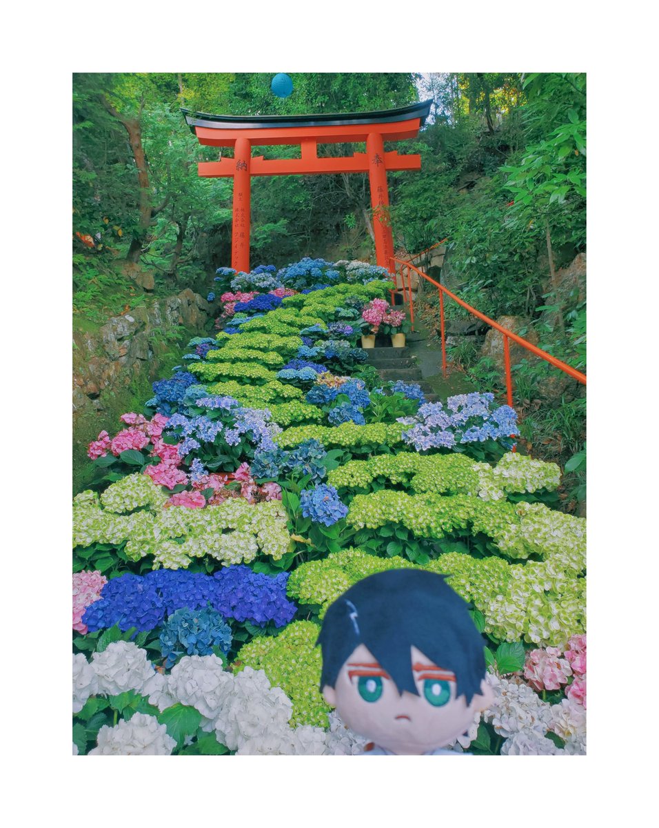 ヲ (@wowowo_poyoyo) on Twitter photo 