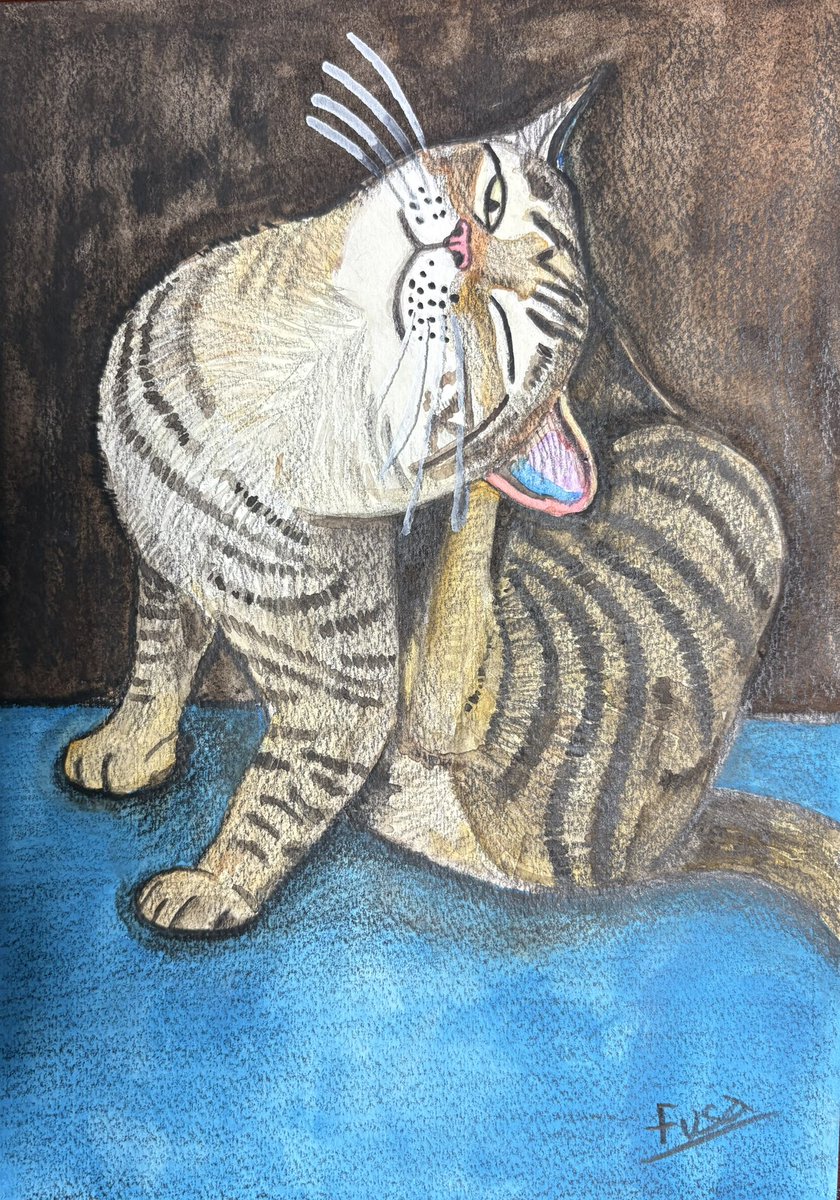 puputaro7's tweet image. 頭をかいている猫ちゃん描きました