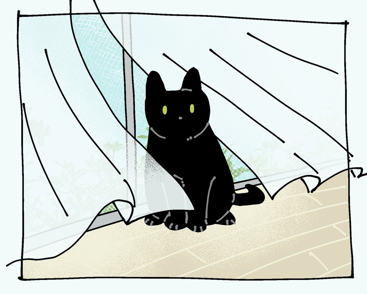 黒猫@ 【イラストオーダー】 黒猫 (立東舎 乙女の本棚) | エドガー・アラン・ポー, まくら