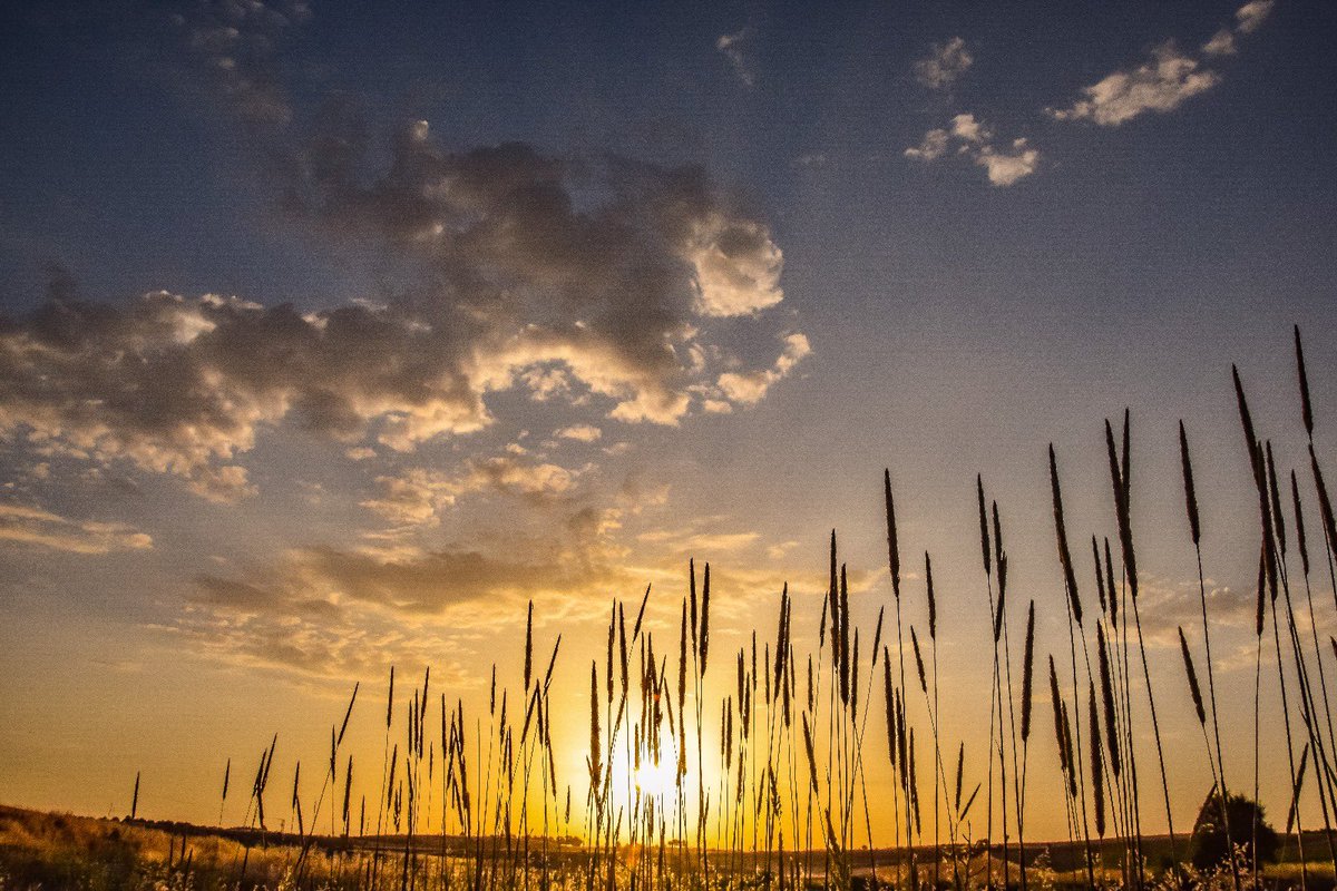 jose pujol (@josep_pujol1) on Twitter photo Primer amanecer del verano desde #CarrascosaDelCampo #CastillaLaMancha #ColboradoresDelTiempo 21/6/25 <a href="/ElTiempoCMM/">El Tiempo CMM</a> <a href="/ElTiempo_tve/">El Tiempo en TVE</a> <a href="/ElTiempoA3/">El Tiempo de Antena 3</a> <a href="/lasextameteo/">La Sexta Meteo</a> <a href="/aquilatierratve/">AquĂ la Tierra</a> <a href="/AEMET_CLaMancha/">AEMET_Castilla-La Mancha</a> <a href="/HimarGonzalez/">Himar GonzĂĄlez</a> <a href="/Tiempo_Mercedes/">Mercedes MartĂn</a> <a href="/CesarGonzaloGar/">CĂ©sar Gonzalo</a> <a href="/mbarreiro_tve/">MartĂn Barreiro</a> <a href="/alvaronavvv/">Ălvaro Navarro</a> <a href="/BelenSamper_/">BelĂ©n Samper</a> Primer amanecer del verano desde #CarrascosaDelCampo #CastillaLaMancha #ColboradoresDelTiempo 21/6/25 <a href="/ElTiempoCMM/">El Tiempo CMM</a> <a href="/ElTiempo_tve/">El Tiempo en TVE</a> <a href="/ElTiempoA3/">El Tiempo de Antena 3</a> <a href="/lasextameteo/">La Sexta Meteo</a> <a href="/aquilatierratve/">AquĂ la Tierra</a> <a href="/AEMET_CLaMancha/">AEMET_Castilla-La Mancha</a> <a href="/HimarGonzalez/">Himar GonzĂĄlez</a> <a href="/Tiempo_Mercedes/">Mercedes MartĂn</a> <a href="/CesarGonzaloGar/">CĂ©sar Gonzalo</a> <a href="/mbarreiro_tve/">MartĂn Barreiro</a> <a href="/alvaronavvv/">Ălvaro Navarro</a> <a href="/BelenSamper_/">BelĂ©n Samper</a>