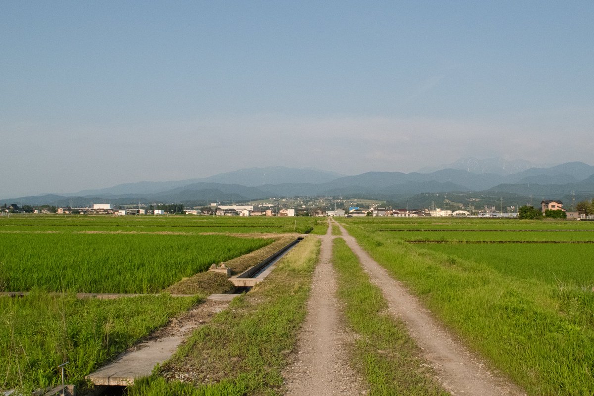 harumaki_gohan's tweet image. アニメーションの資料を撮りにばあちゃん家のある富山へ行ってました
家はもう空き家だけど、玄関ドアの重みや畳の匂いが昔のまま残っており
子供の頃夏休みに来ていたことをちゃんと思い出した