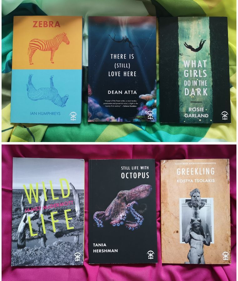 Nine Arches Press (@ninearchespress) on Twitter photo Our curated #poetry book bundles include trios of titles exploring Queer Perspectives alongside our Pride Collection, highlighted for #PrideMonth
Discover books by <a href="/jamesliammcd/">James McDermott š</a> <a href="/IanHumphWriter/">Ian Humphreys</a> <a href="/DeanAtta/">Dean Atta</a> & more
ninearchespress.com/shop#!/Book-Bu⦠Our curated #poetry book bundles include trios of titles exploring Queer Perspectives alongside our Pride Collection, highlighted for #PrideMonth
Discover books by <a href="/jamesliammcd/">James McDermott š</a> <a href="/IanHumphWriter/">Ian Humphreys</a> <a href="/DeanAtta/">Dean Atta</a> & more
ninearchespress.com/shop#!/Book-Buā¦
