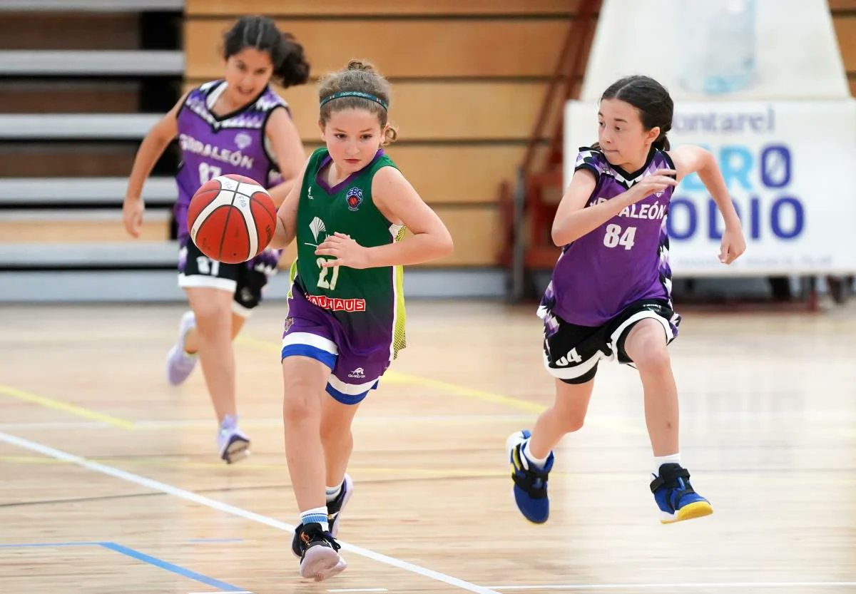 🗓️🏀 Disponible el Calendario de la VIII Copa de Andalucía Premini #Valorcesto en categoría femenina

🔗 Descárgatelo aquí👇 andaluzabaloncesto.org/malaga/delegac…