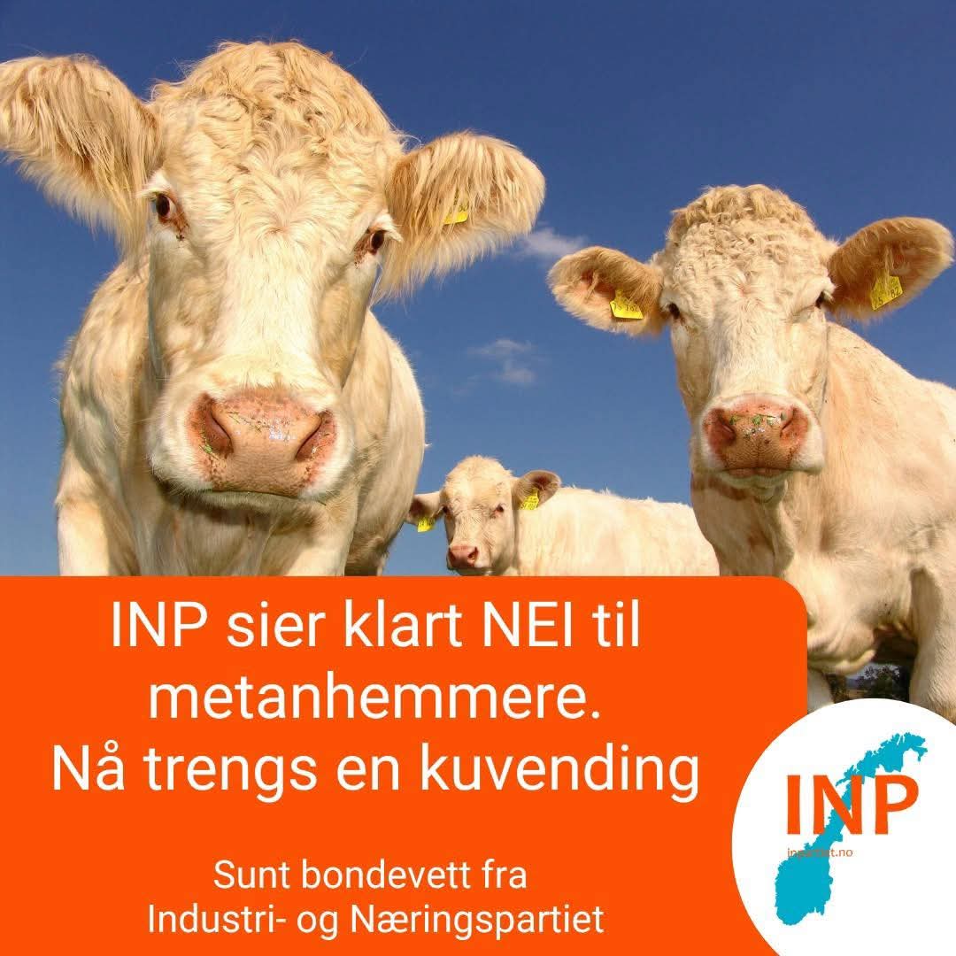 INPU (@inpungdom) on Twitter photo 