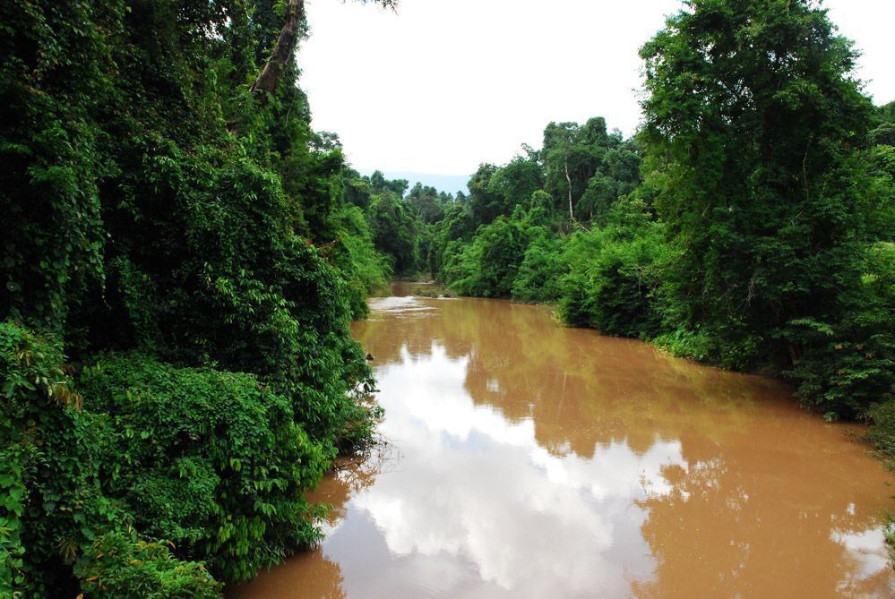 OM_VIAJES's tweet image. 🌿 A solo 2 h de Bangkok, Khao Yai fue el primer parque nacional de Tailandia y es Patrimonio UNESCO. Hogar de ~200 elefantes salvajes, 392 aves y cascadas como Haew Suwat, famosa por aparecer en The Beach.
👉omviajesyrelatos.com/el-parque-de-k…
#KhaoYai #TailandiaInfo