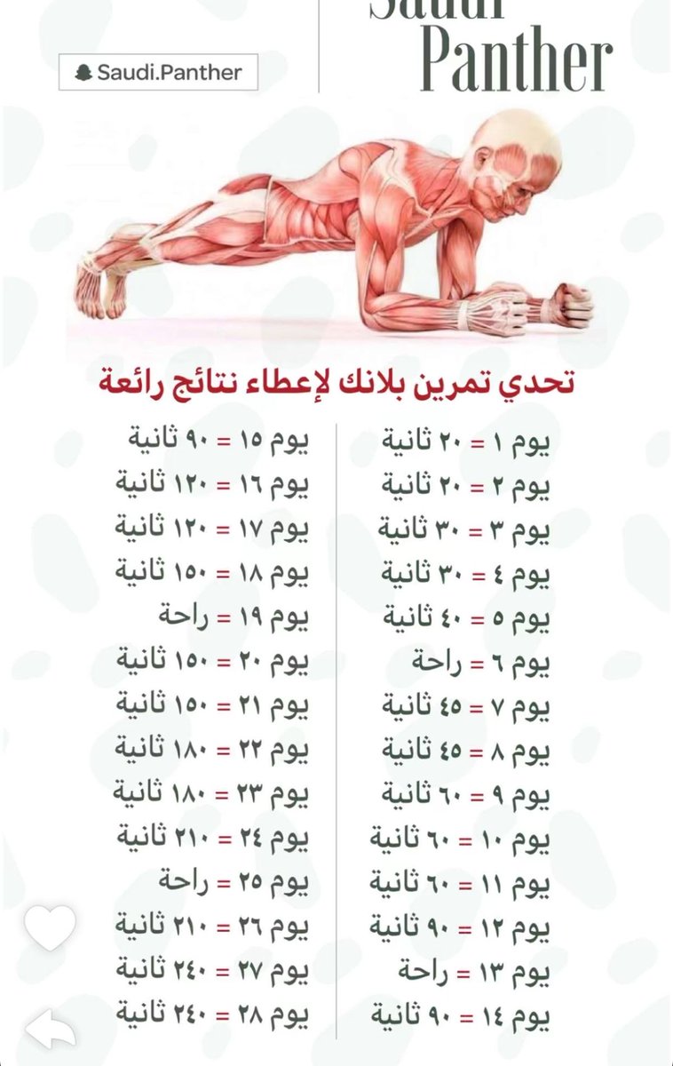 1LTZD's tweet photo. تحدي تمرين بلانك لإعطاء نتائج رائعة https://t.co/wVI7JtzyNX