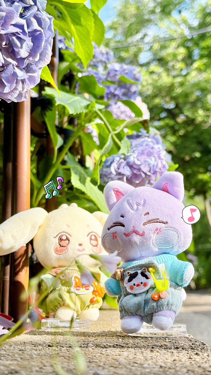 くろすけ カワサキ Ninja ZX－4R SE 現行モデル ZX400P