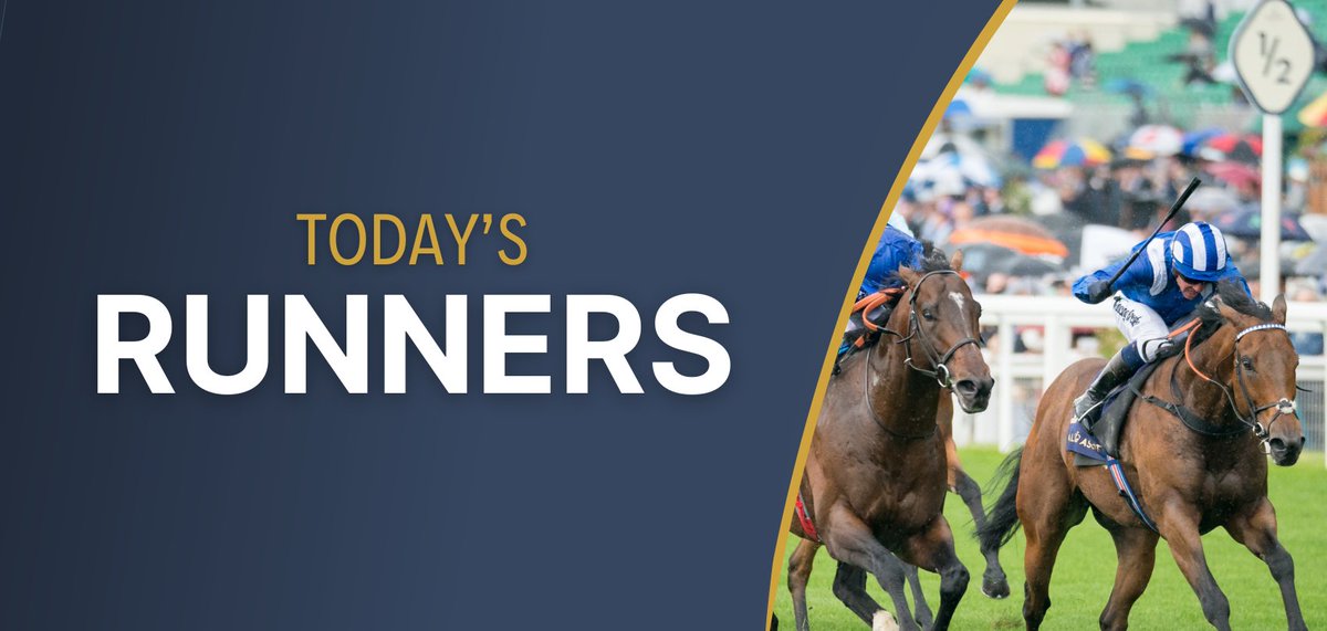 FromTheStables tweet media