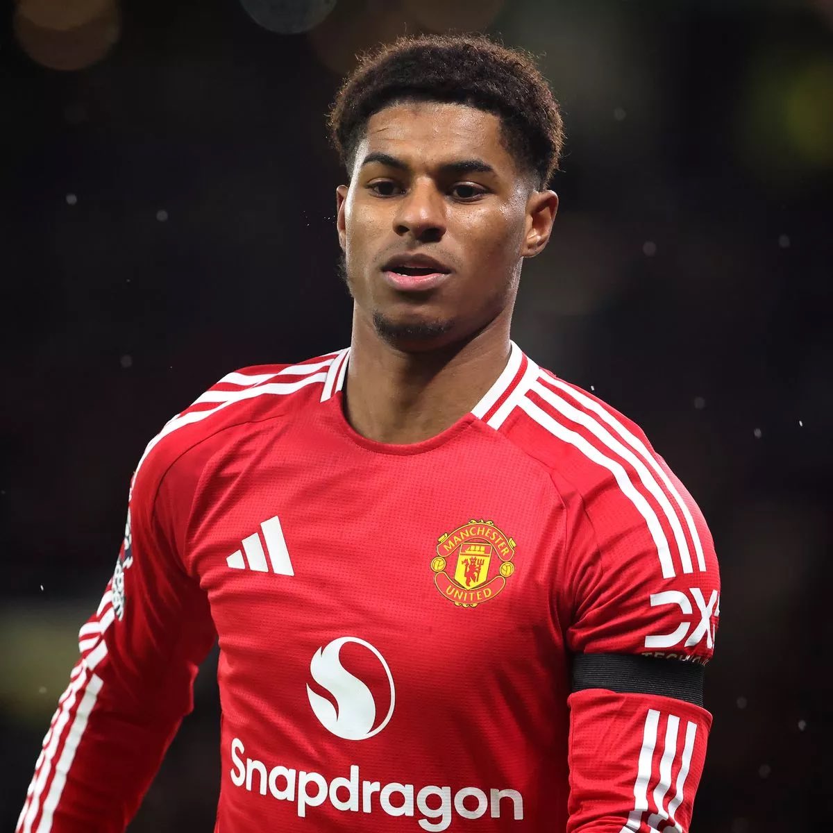 (fan) Frank 🧠🇾🇪 tweet media