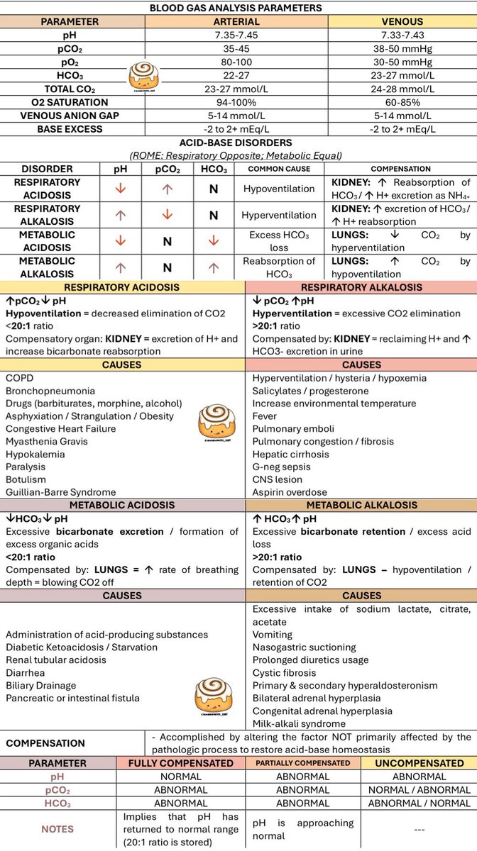 cinnam0nstudies's tweet image. BLOOD GAS ANALYSIS SUMMARY