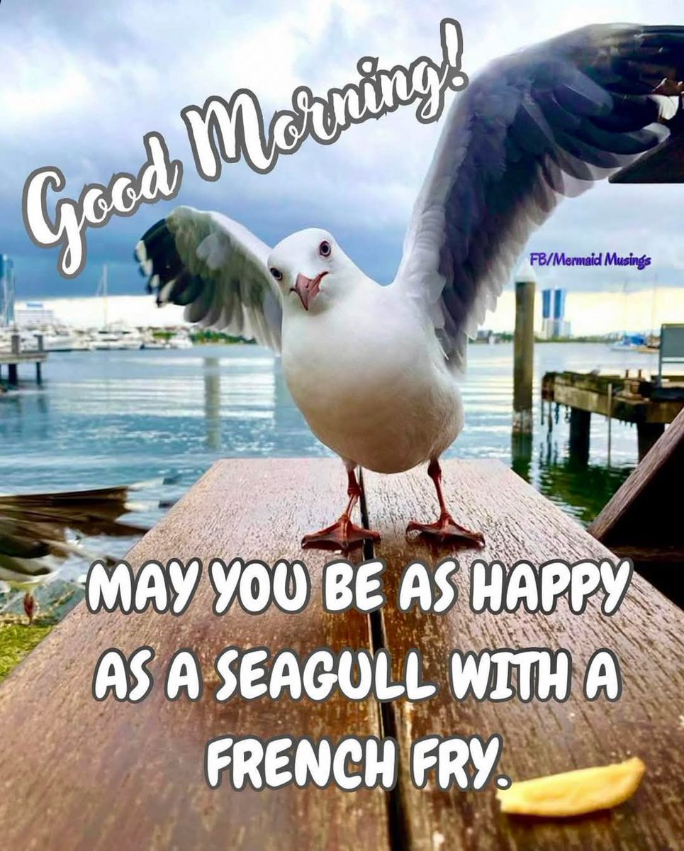 💜Mary-Anne T💙💚❤ 🍺/📱+ 🚘 = ❌ (@phoenixgirl76) on Twitter photo 