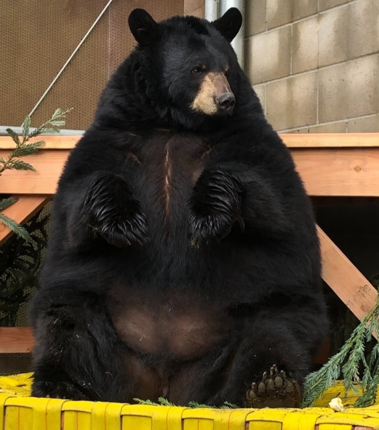 This is me btw if you even care...