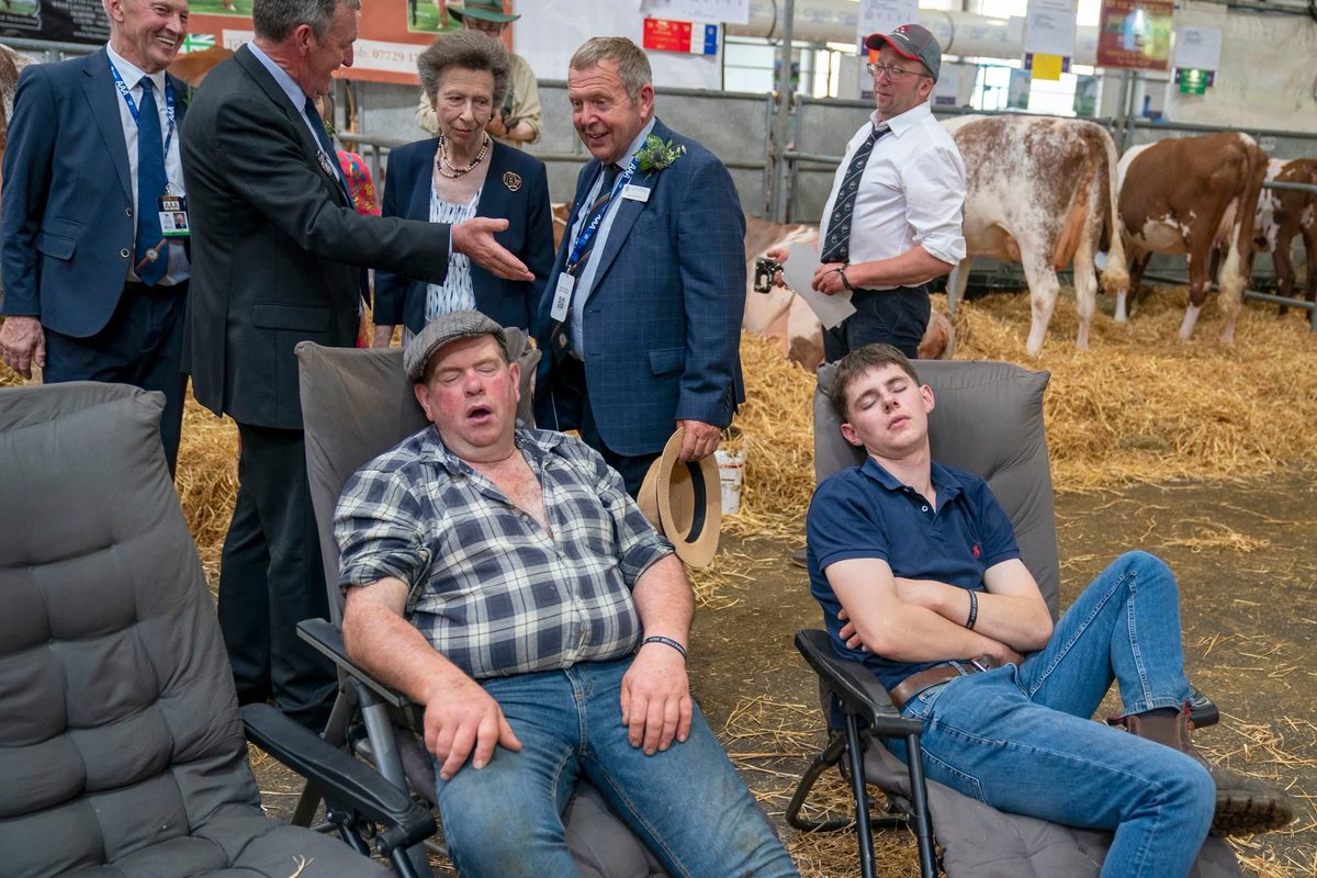 MajestyMagazine's tweet photo. From @heraldscotland: A couple of farmers sleep as the Princess Royal tours cattle stalls in the Highland Hall during a visit to the Royal Highland Show in Ingliston, Edinburgh.

📷 @belperbarlow https://t.co/4TtSXJvYXZ