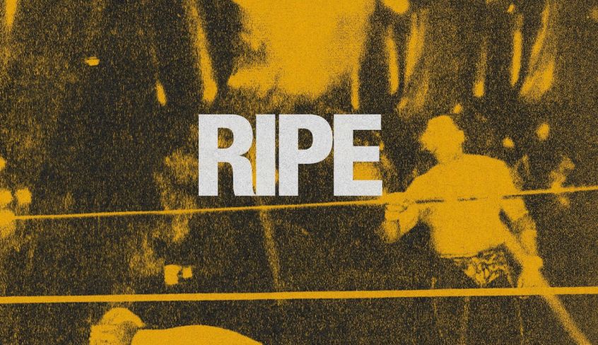 ALBUM: Pretty Rude - Ripe 
<a href="/prettyrudeband/">Pretty Rude</a> 

indieforbunnies.com/2025/06/21/alb…