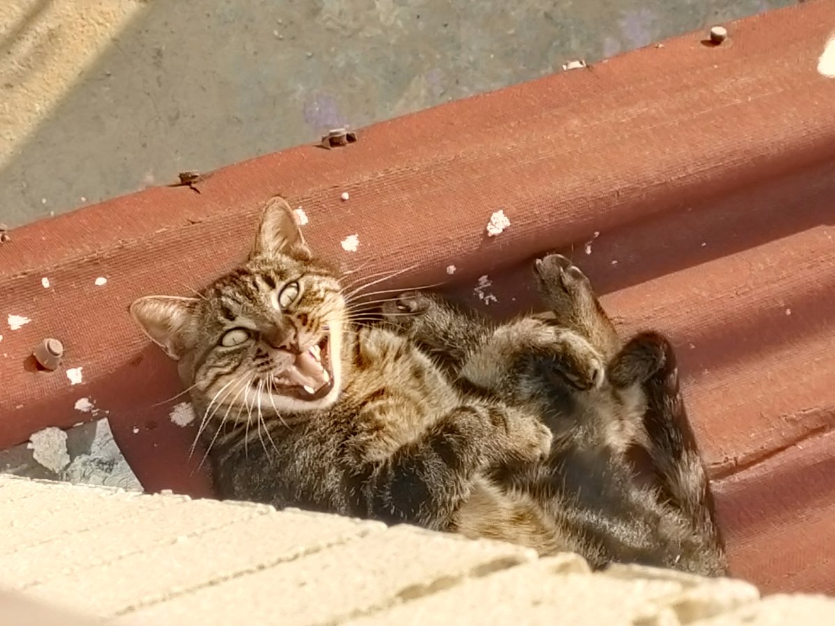 Herkese güzel mutlu hafta sonu diliyorum 
G❤️Ü💛N❤️A💛Y❤️D💛I❤️N
#Cumartesi 
#Huzurla 
Tontiş❤️