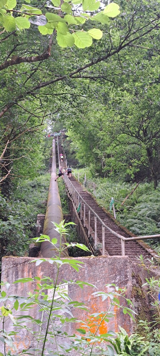 500+ eskailerak Bertxin Xtrem II,
#Sanjuanak #Andoain
Temp 21°  y humedad 88%