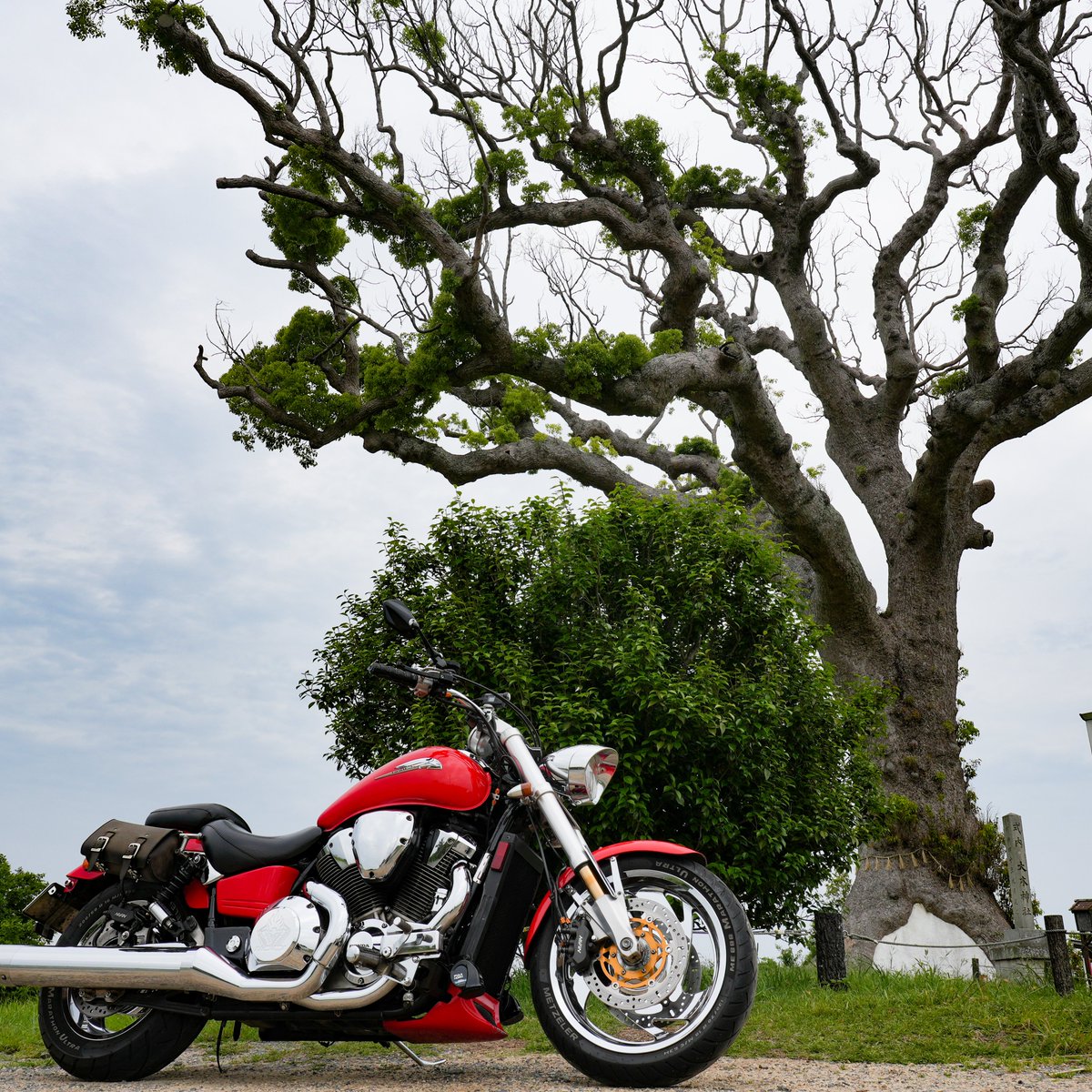 皆様のバイクワールド岐阜店です！

鈴鹿市南長太町の樹高約23m、樹齢1000年を越えると言い伝えられているクスノキ「長太の大楠（なごのおおくす）」へ行ってきました。2ｋｍ先からでも目視できる御神木です。かつては大楠そのものが神社だったそうです。

「売上があがりますようにｗ」