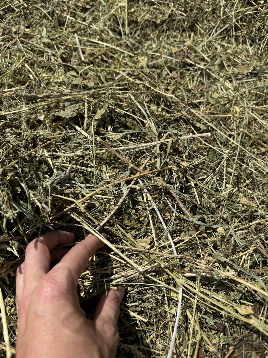 I'm in trend too 😉
#openseatouchgrass