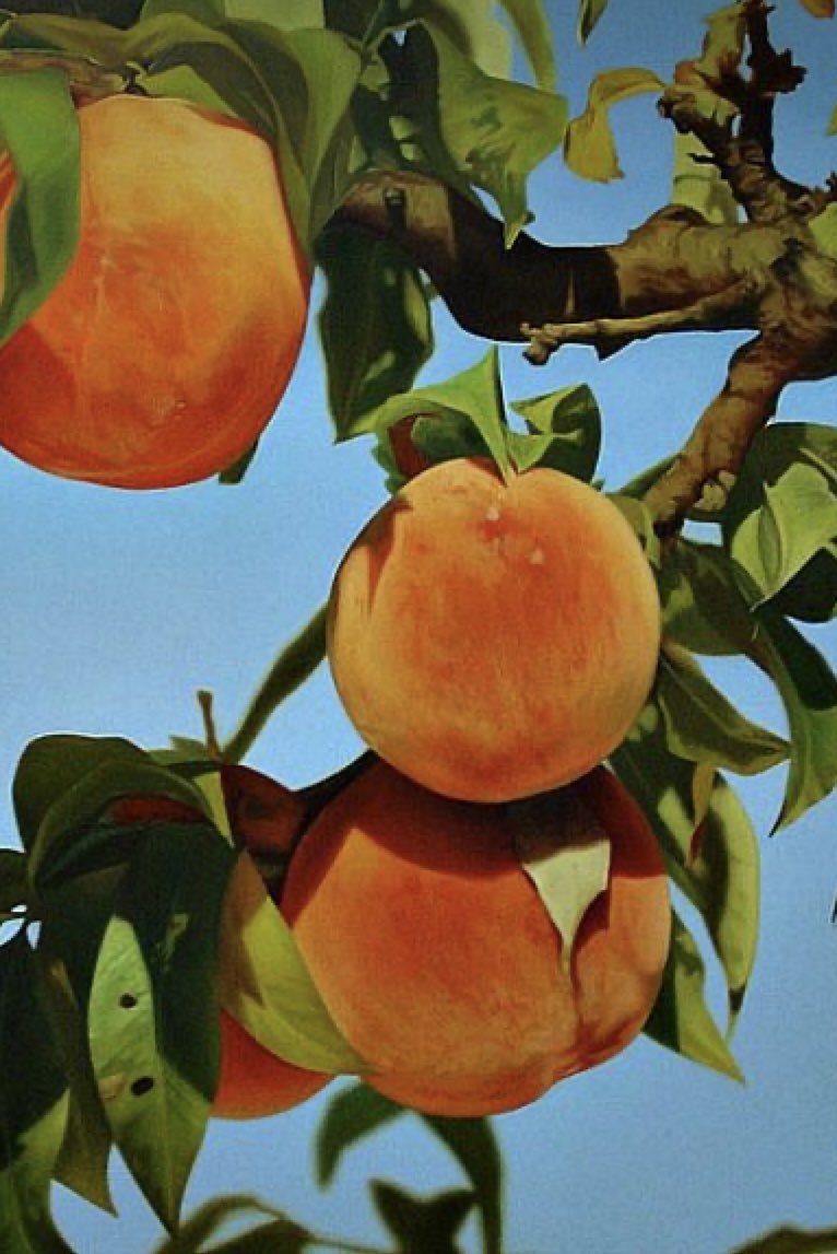 #21giugno 

Il respiro dell’estate 
Il pesco è carico di frutta 
Canta la cicala 

Haiku