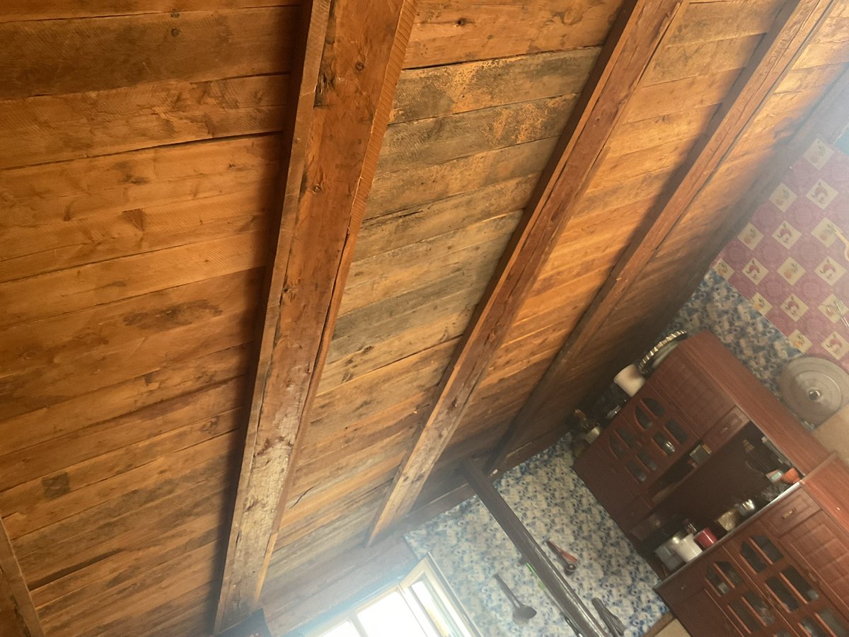 Сүүдэр бараадсан ч сүүдэр нь халуун байна. Аахилаад л хэвтжээн