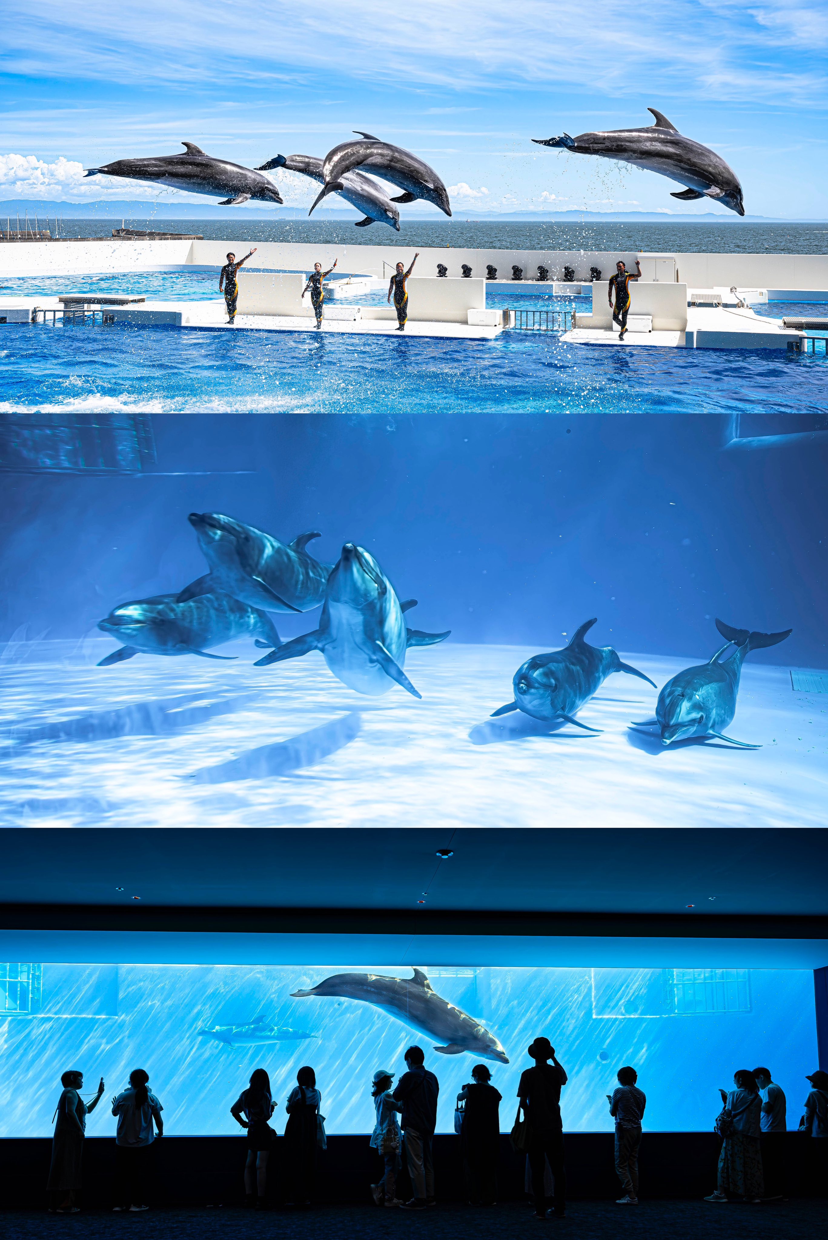 出産祝い たか on X:  フェイスジェル・ゲル