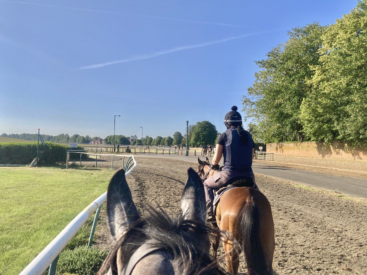 John Berry (@johnwathenberry) on Twitter photo We have all the horses worked early this morning as we have the hottest day of the year (so far) ahead of us <a href="/NewmarketGallop/">Newmarket Gallops</a>. Strong sunshine. Already 25 degrees and it’s not yet 10 o’clock. Forecast high 31. There’s a bit of a breeze at present - hope it persists. We have all the horses worked early this morning as we have the hottest day of the year (so far) ahead of us <a href="/NewmarketGallop/">Newmarket Gallops</a>. Strong sunshine. Already 25 degrees and it’s not yet 10 o’clock. Forecast high 31. There’s a bit of a breeze at present - hope it persists.