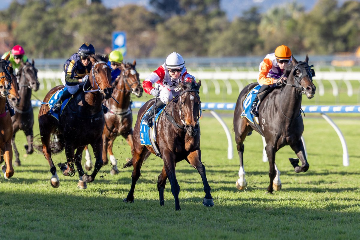 Clarken_Racing's tweet photo. A superb Saturday for two star ladies!

Hajra stormed home late for win number 4, while Cicala made it 2 from 2 with another dominant effort. Nearly $50k in the bank her owners have not only reaped the rewards financially but with joy too!

Congrats to all involved. https://t.co/0u1XbNQipx