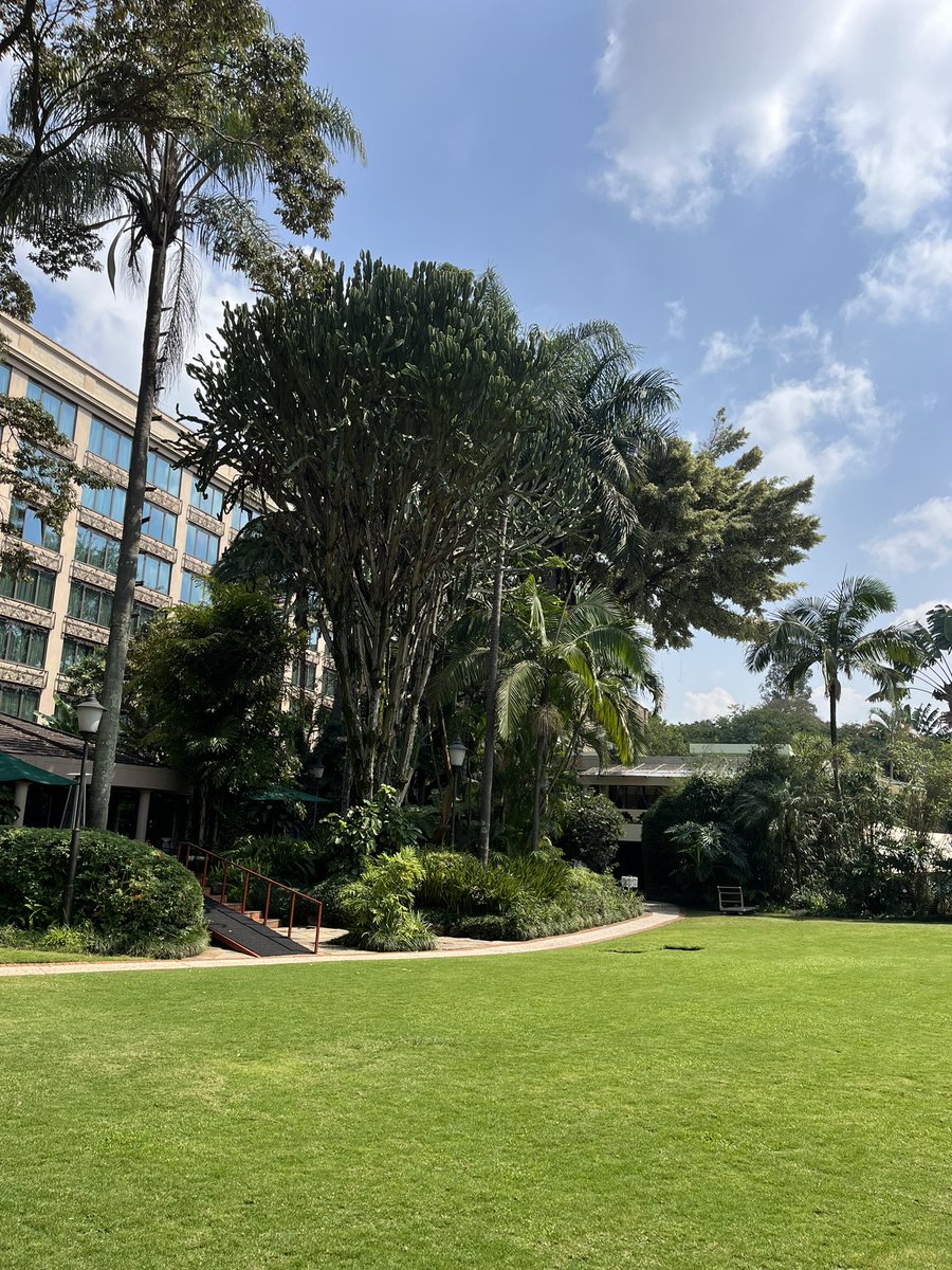 The city is just a stone’s throw away, but here… it’s all calm, green, serene, and grounded. Saturdays are made for this kind of serenity🍃.

To book your stay, call: +254 732 124 000 | +254 727 282 200

#NairobiSerenaHotel #SerenaHotels #TwendeSerena  #SerenaHotelsAfrica