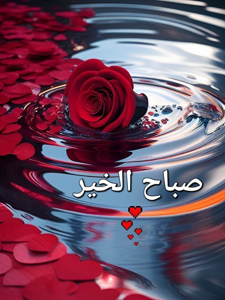 السلام وعليكم ورحمة الله وبركاته 
Good morning, X Gem's. Have a blessed n prosperous day.
No matter how beautiful the world is,your thoughts can make it hell, and no matter how bad the world is, your thoughts can make it heaven, make your thoughts always pure.
<a href="/Kom_6K/">کومل_ناز</a> <a href="/afza012/">Adeeb-e-afza 012</a>