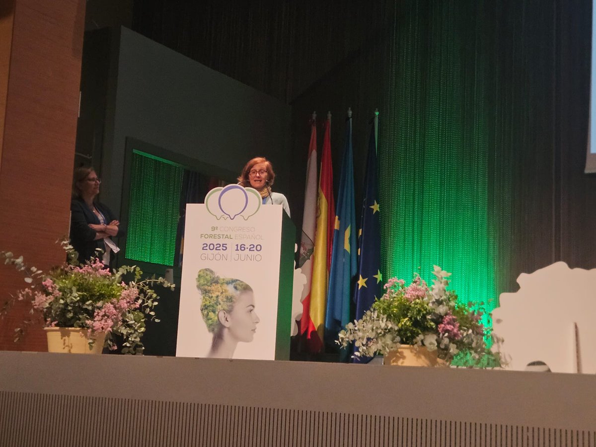 oldpine17's tweet image. Nuestra compañera @MartaPardos1, secretaria d @secforestales, no ha parado ni un minuto durante #9CFE... aún así, pudo presentarnos resultados dl proyecto n colaboración con @whatifbosques, sobre capacidad de regeneración de #bosques viejos de A. alba y P. uncinata. Age matters!