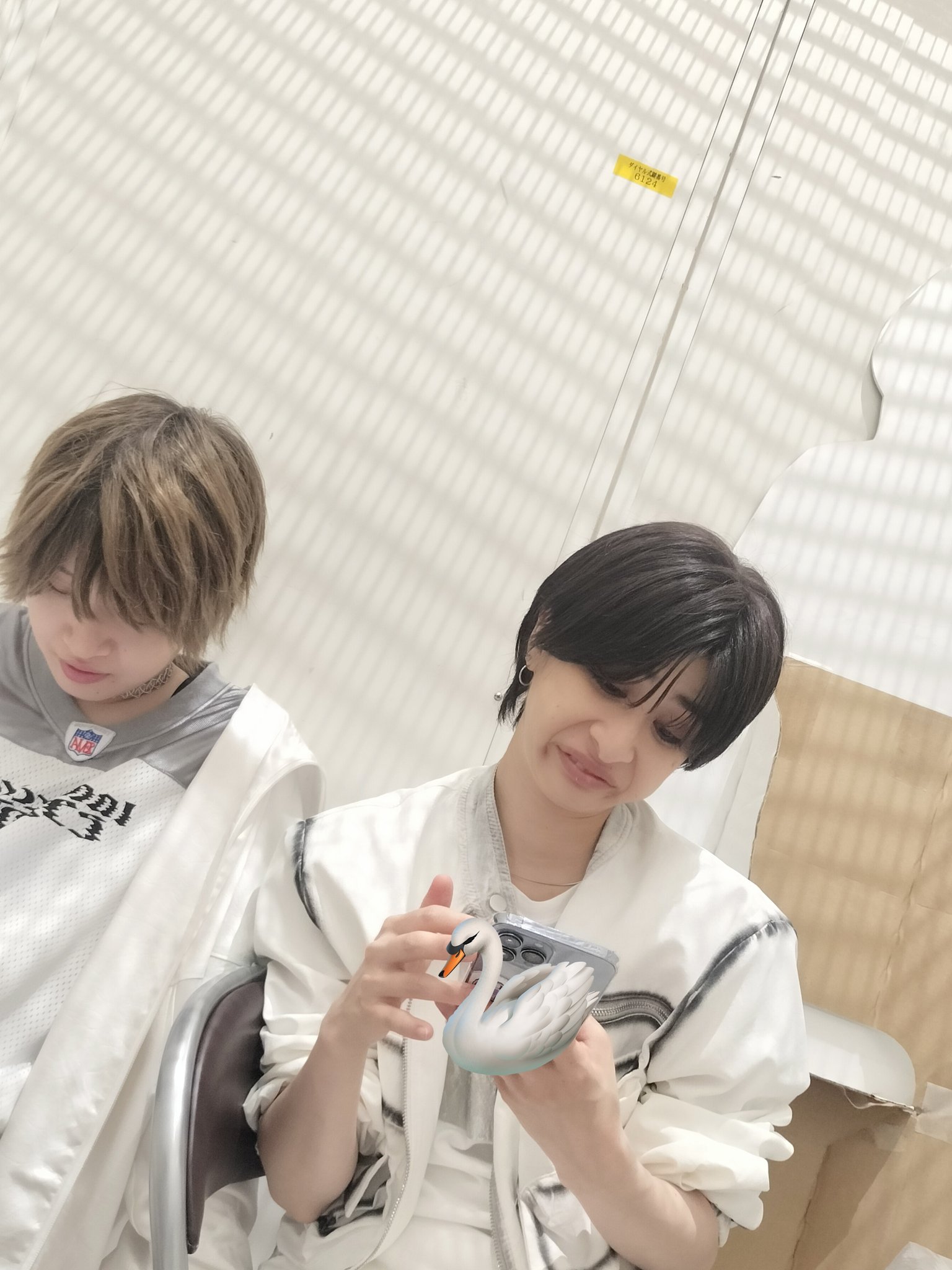 限定お買い得商品 ホットセール 口コミ 風男塾 ギフトーレ Giftole 胡桃沢鼓太郎 アイドル