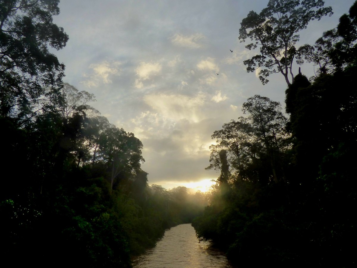 Jessica Haysom, PhD tweet media