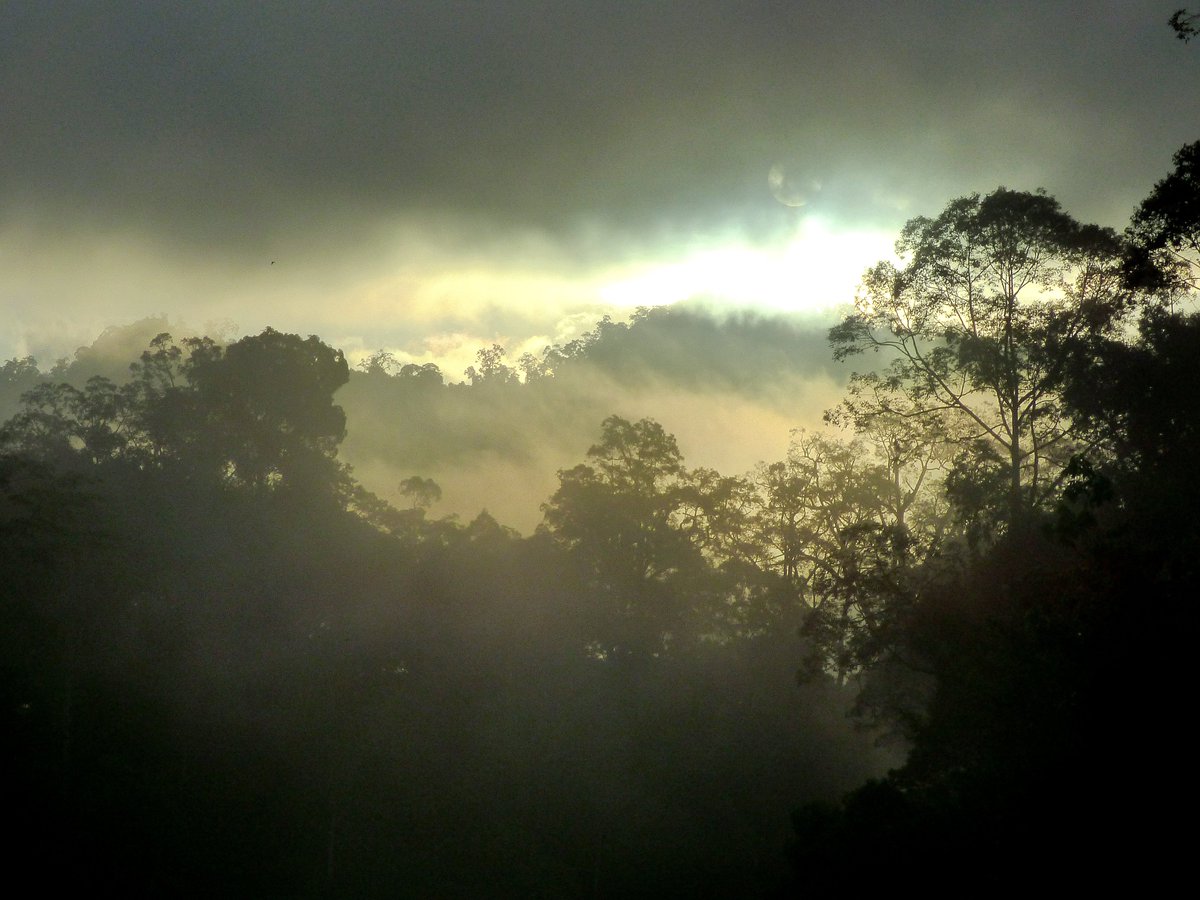 Jessica Haysom, PhD tweet media