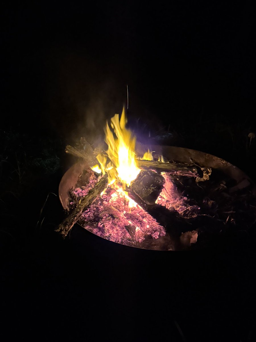 Angus Barnes tweet media