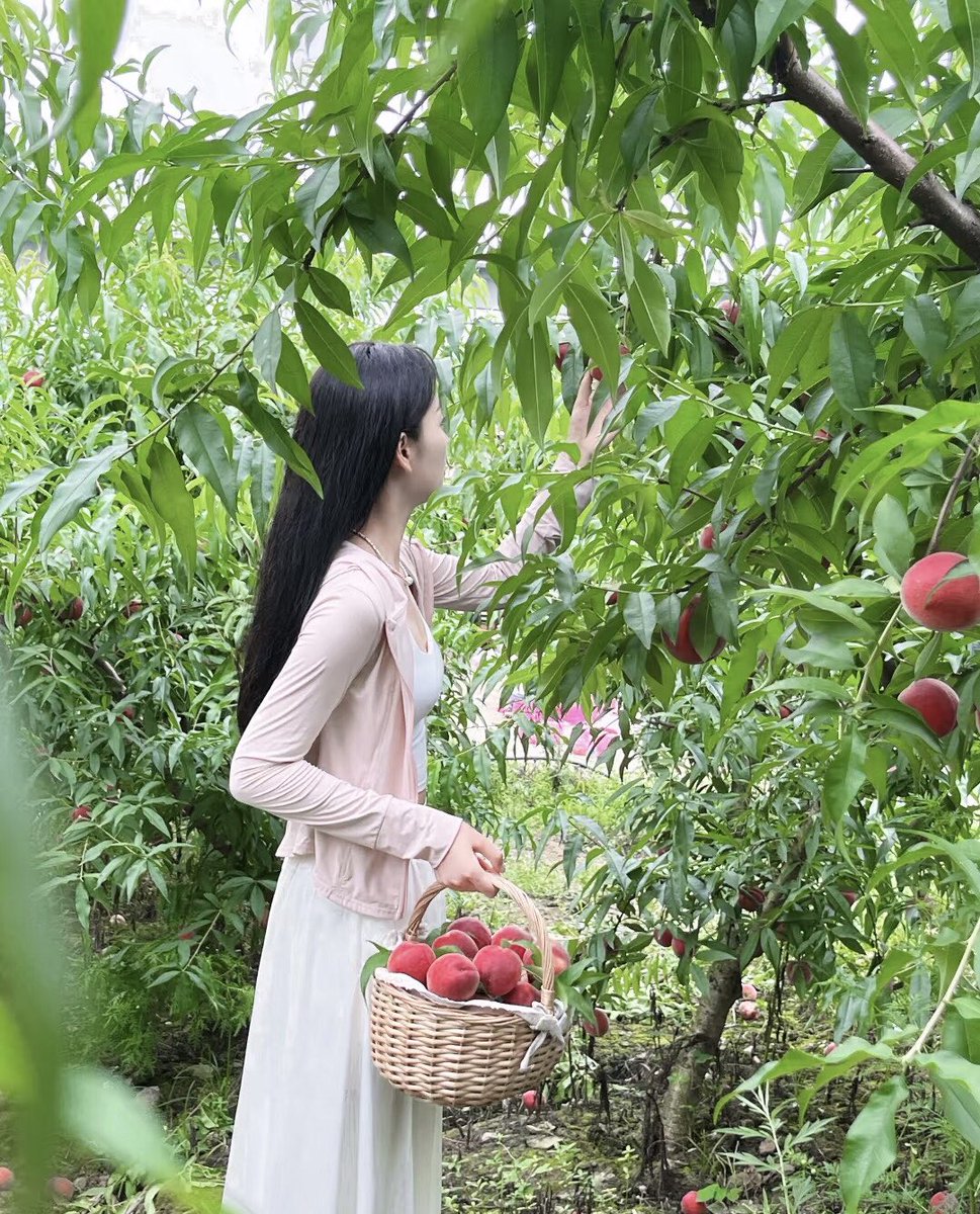 Li Lu🌸 tweet media