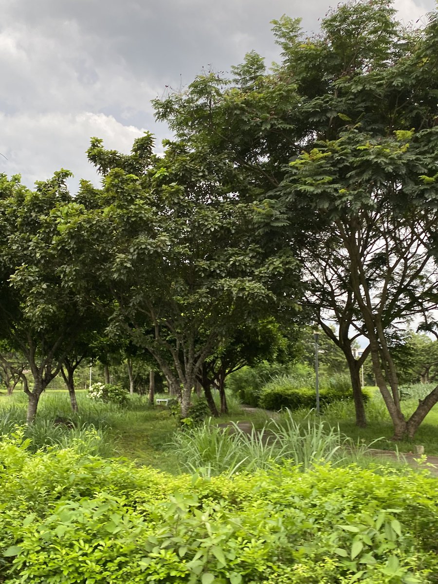 BottomCalamba's tweet image. Tara chupain kita outdoor. Walang tao! Nasa nuvali ako now pm agad #AlterLaguna #AlterStaRosa