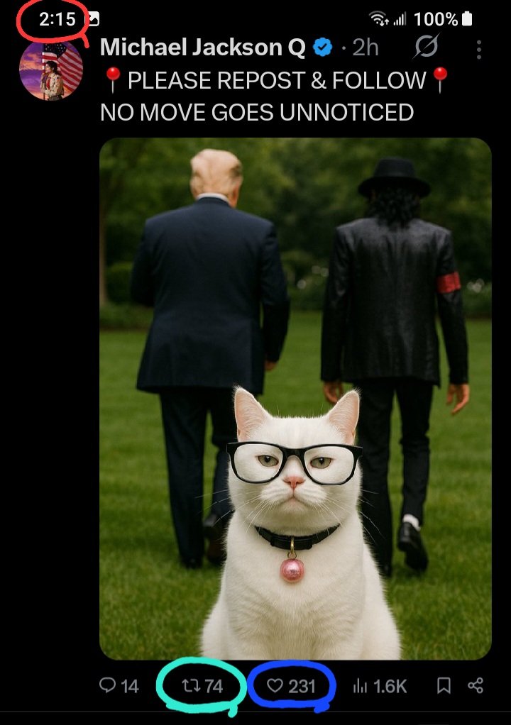 DeanDavis33's tweet image. 2️⃣1️⃣5️⃣ #TwoOneFive 
🐇7️⃣4️⃣ #SeventyFour
2️⃣3️⃣1️⃣ #TwoThreeOne