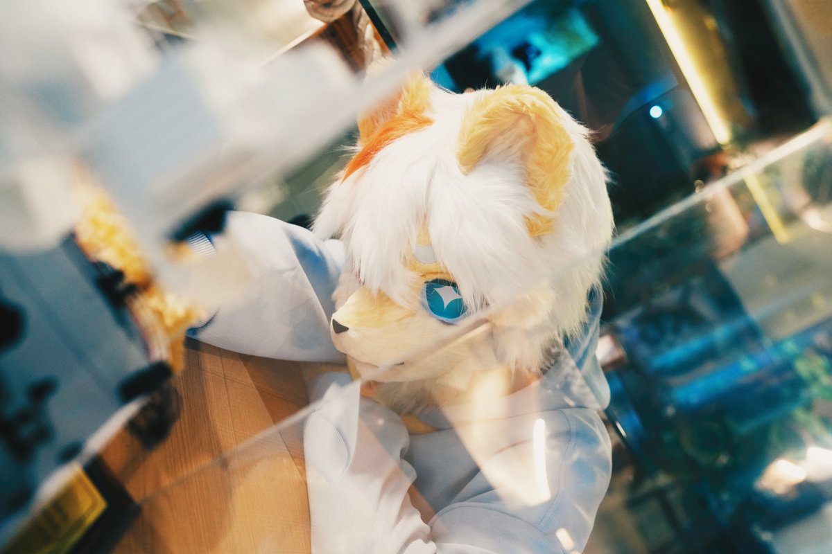 Ariel 🦁🔜関けも (@weeklyariel) on Twitter photo 